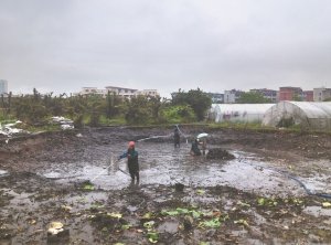 辉县河道鱼塘清淤